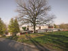 SA Schollenholz, Bestand